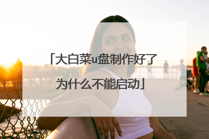 大白菜u盘制作好了 为什么不能启动