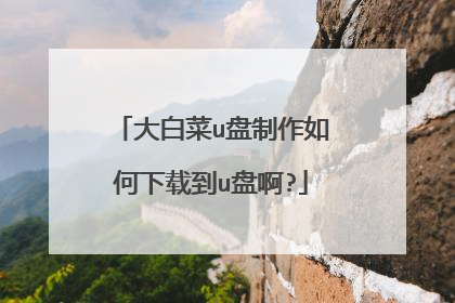 大白菜u盘制作如何下载到u盘啊?