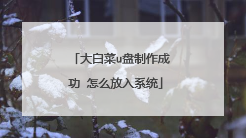 大白菜u盘制作成功 怎么放入系统