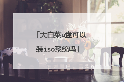 大白菜u盘可以装iso系统吗