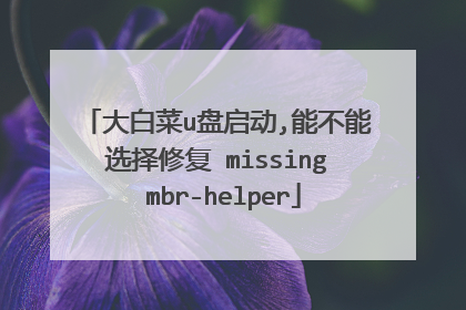 大白菜u盘启动,能不能选择修复 missing mbr-helper
