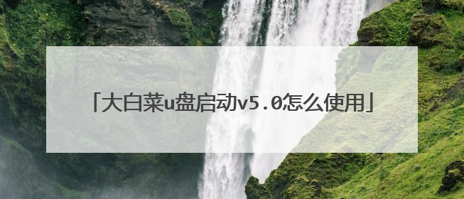 大白菜u盘启动v5.0怎么使用