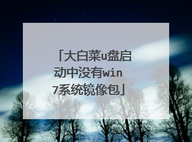 大白菜u盘启动中没有win7系统镜像包