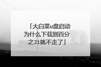 大白菜u盘启动为什么下载到百分之21就不走了