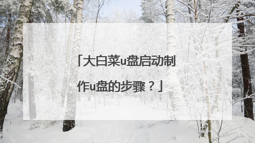 大白菜u盘启动制作u盘的步骤?