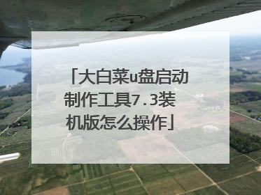 大白菜u盘启动制作工具7.3装机版怎么操作