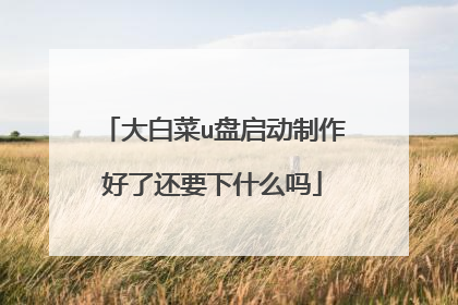 大白菜u盘启动制作好了还要下什么吗
