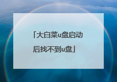 大白菜u盘启动后找不到u盘