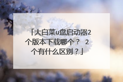 大白菜u盘启动器2个版本下载哪个? 2个有什么区别?