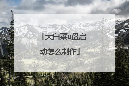 大白菜u盘启动怎么制作