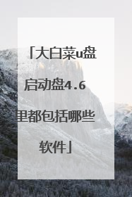 大白菜u盘启动盘4.6里都包括哪些软件