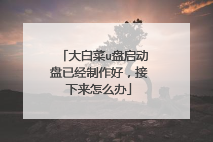 大白菜u盘启动盘已经制作好,接下来怎么办