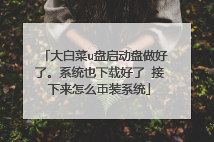 大白菜u盘启动盘做好了。系统也下载好了 接下来怎么重装系统