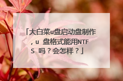 大白菜u盘启动盘制作,u 盘格式能用NTFS 吗?会怎样?