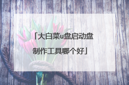 大白菜u盘启动盘制作工具哪个好