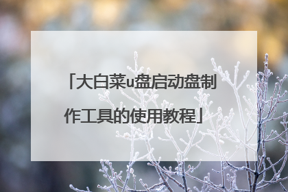 大白菜u盘启动盘制作工具的使用教程