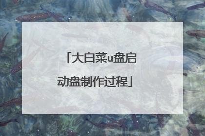 大白菜u盘启动盘制作过程