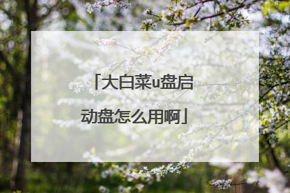 大白菜u盘启动盘怎么用啊