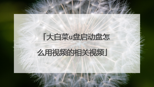 大白菜u盘启动盘怎么用视频的相关视频