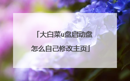 大白菜u盘启动盘怎么自己修改主页