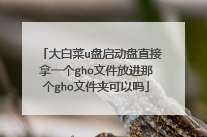 大白菜u盘启动盘直接拿一个gho文件放进那个gho文件夹可以吗