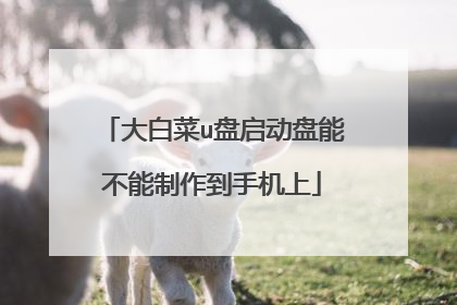 大白菜u盘启动盘能不能制作到手机上