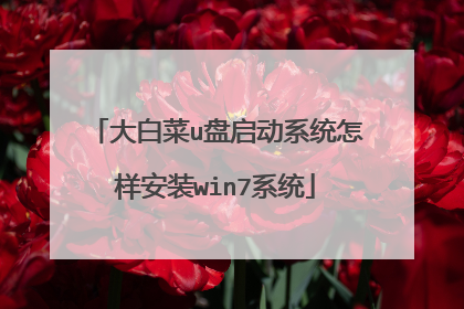 大白菜u盘启动系统怎样安装win7系统