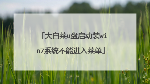 大白菜u盘启动装win7系统不能进入菜单