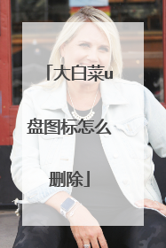 大白菜u盘图标怎么删除