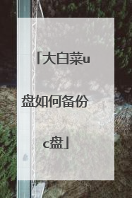 大白菜u盘如何备份c盘