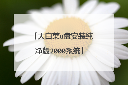 大白菜u盘安装纯净版2000系统