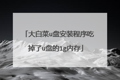大白菜u盘安装程序吃掉了u盘的1g内存