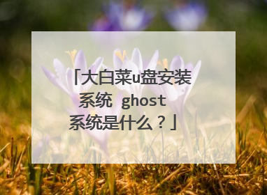 大白菜u盘安装系统 ghost系统是什么？