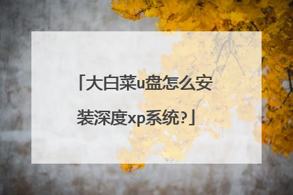 大白菜u盘怎么安装深度xp系统?