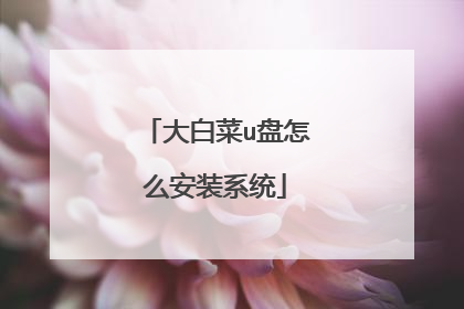 大白菜u盘怎么安装系统
