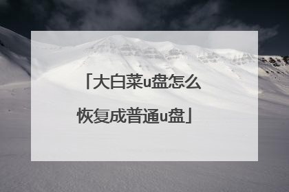 大白菜u盘怎么恢复成普通u盘