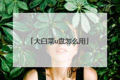 大白菜u盘怎么用