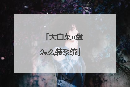 大白菜u盘怎么装系统