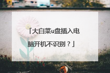 大白菜u盘插入电脑开机不识别?