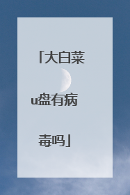 大白菜u盘有病毒吗