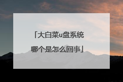 大白菜u盘系统 哪个是怎么回事