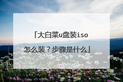 大白菜u盘装iso怎么装?步骤是什么
