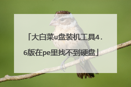 大白菜u盘装机工具4.6版在pe里找不到硬盘