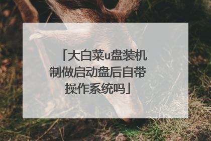 大白菜u盘装机制做启动盘后自带操作系统吗