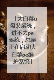 大白菜u盘装系统，进不去pe系统，总是正在启动大白菜pe维护系统