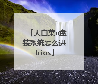 大白菜u盘装系统怎么进bios