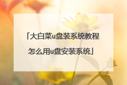 大白菜u盘装系统教程 怎么用u盘安装系统