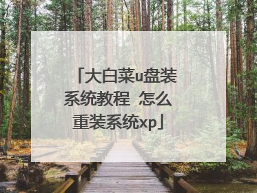 大白菜u盘装系统教程 怎么重装系统xp