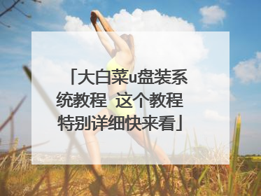 大白菜u盘装系统教程 这个教程特别详细快来看