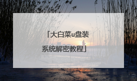 大白菜u盘装系统解密教程